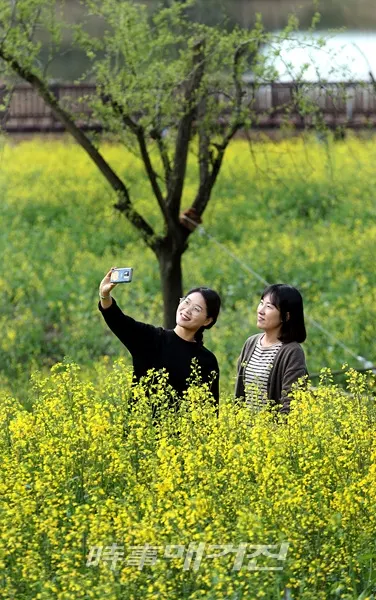 보은산 내 강진V랜드 (사진_강진군)