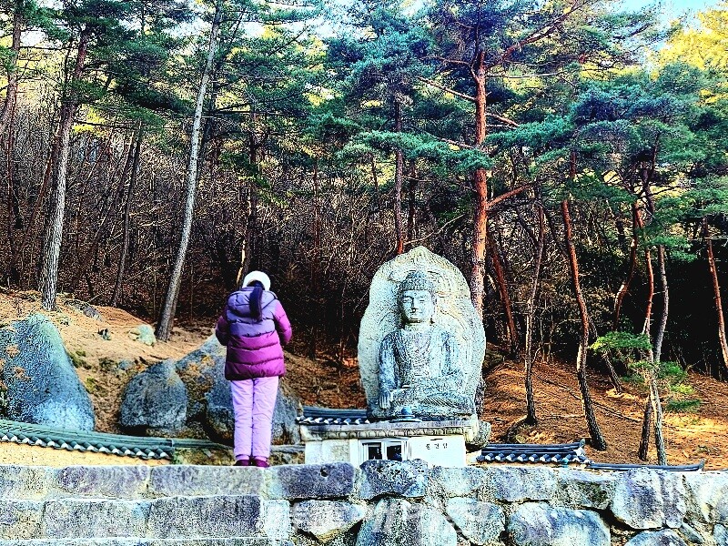 그물에 걸리지 않는 바람처럼 무소의 뿔처럼 혼자서 가라(글, 사진_조용우 칼럼니스트)