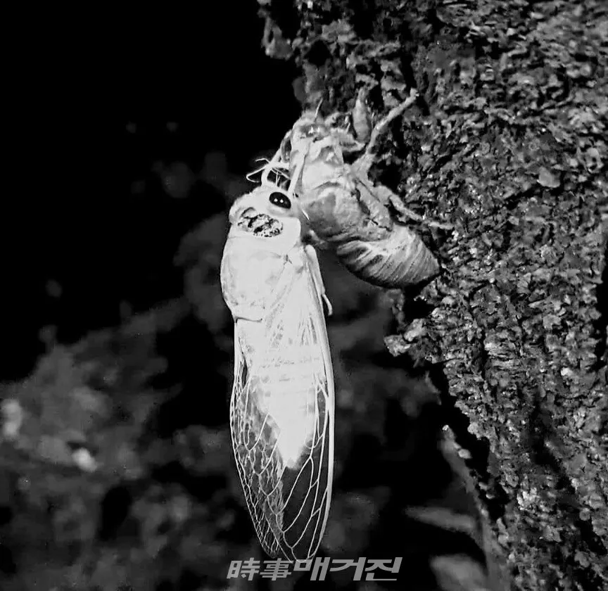 사진_조용우