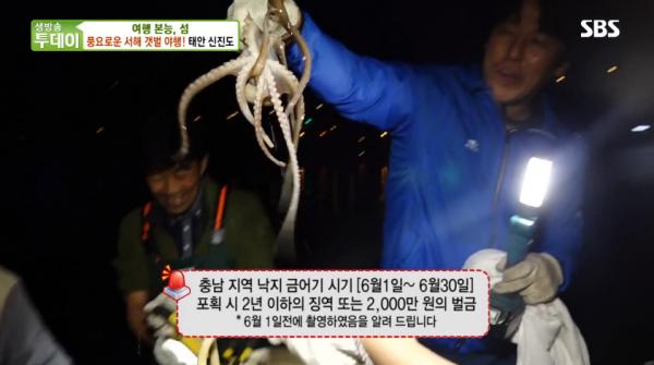 ▲ 태안 신진도 사진사진=ⓒSBS