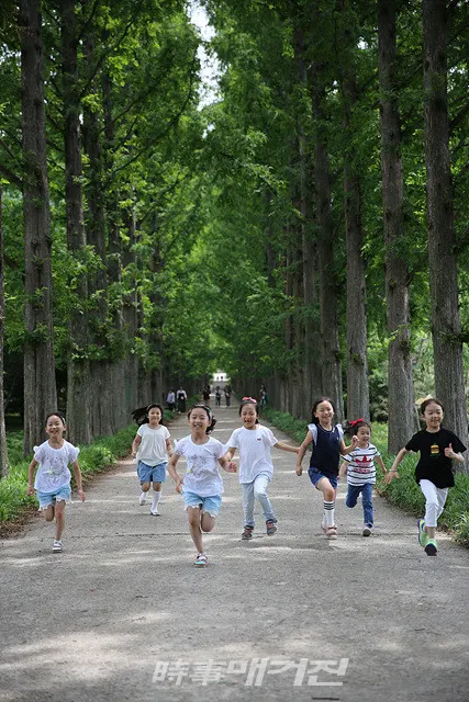 나주시는 "민선 7기 사람 중심 산림 비전 실현을 위한 ‘그린(Green) 인프라 구축 및 체계적인 관리계획’을 수립하고 내년부터 5대 미션, 3대 기본 방향, 10개 유형별 그린인프라 정책을 중점 추진할 계획이다.(사진_나주시청)