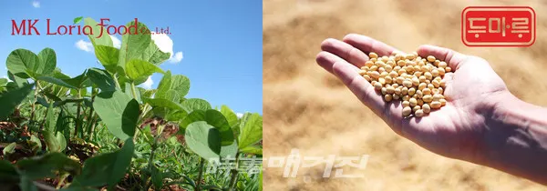 MK로리아푸드 농장