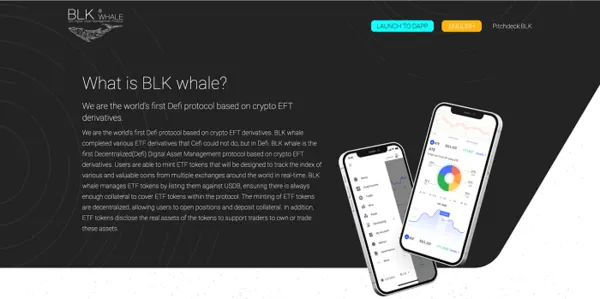 (BLK WHALE 공식 홈페이지 메인 페이지)