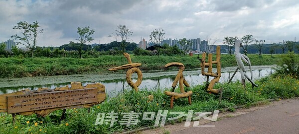 농경지를 벗어나 호조벌(관곡지)와 월곶을 잇는 가운데 지점인 장곡동 일대에 ‘시흥갯골생태공원’을 조성하고 갯골 생태를 보존하는 정도에 머무르고 있다. 과거에는 이곳에서 염전 외에 바닷물과 민물에서 교차해 서식하는 각종 물고기와 게를 잡을 수 있었다.(사진_안나겸 기자)
