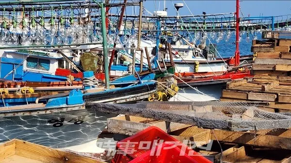 시사매거진/DB