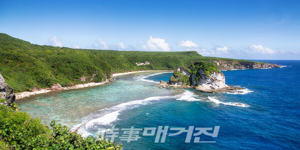 버드아일랜드 새섬