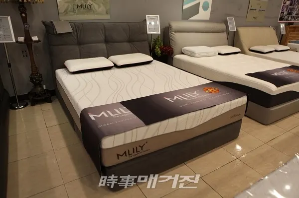 (사진_밀리&마이스터소파)