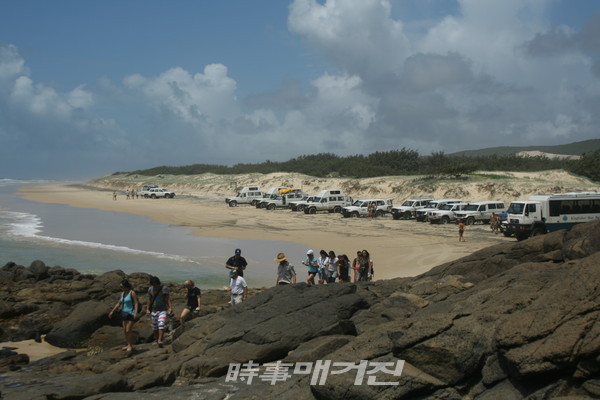 호주 프레이저 아일랜드