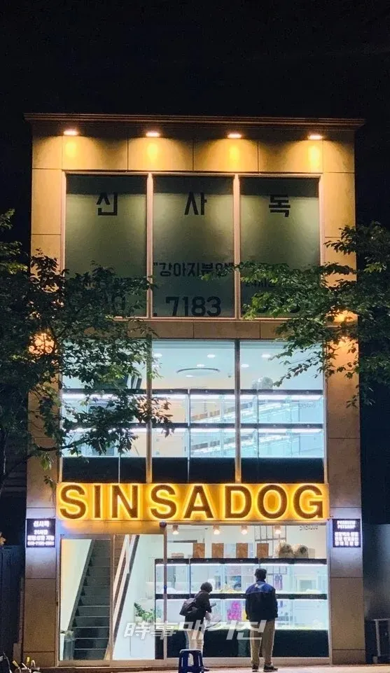 (사진_신사독)