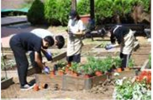 학교 텃밭 활동 모습(사진-농진청)
