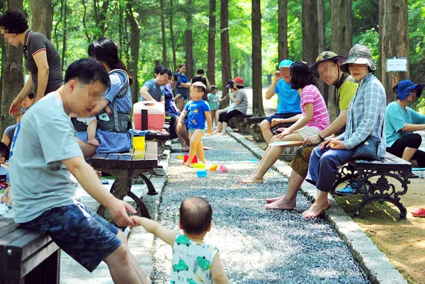 봄날씨, 여름, 무더위, 날씨스케치 (시사매거진DB)