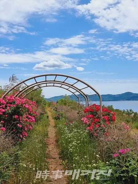 (사진_정용일 기자)