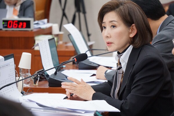나경원 국민의힘 의원.(사진_나경원 의원실)