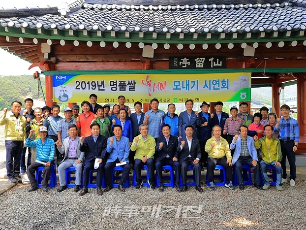 곡성군은 군을 대표하는 친환경 쌀 백세미의 명품화를 위해 곡성군(군수 유근기)과 석곡농협이 16일 목사동면 백세미 재배단지에서 모내기 시연회를 가졌다. [사진_곡성군청]