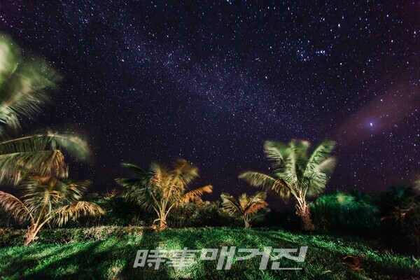 별빛투어