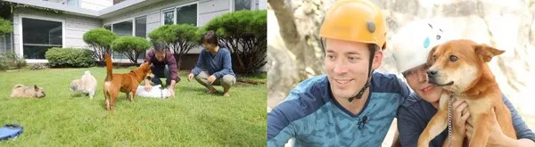 '동물극장 단짝' / 사진=KBS1TV