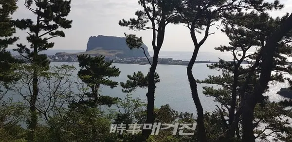 식산봉 정상에서 나무 사이로 보는 성산 일출봉
