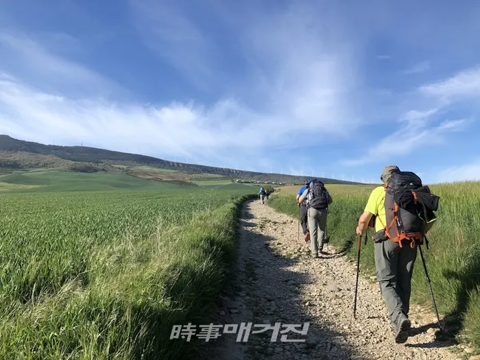 나바라 지방. 대도시의 경우 들어가고 나올 때 긴 포장도로를 걷게 된다. 많은 사람들이 고도가 높은 길보다, 이러한 포장도로에서 발이 많이 상한다. 무리하지 않게 천천히 걸으며 적당히 쉬어주도록 하자.