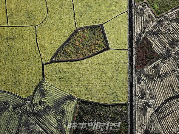 한국관광공사는 서귀포시와 2019년 강소형 관광지인 서귀포시의 ‘하논분화구’ 홍보를 위해 10월 8일부터 11월 5일까지 진행한 ‘제주 강소형 드론사진 공모전’ 수상작 총 25점을 11월 20일 발표했다.사진은 하논분화구 드론사진 공모전 금상 '하논 추상' 이다.(사진_한국관광공사)
