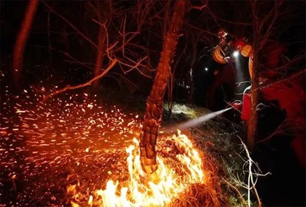 산불 , 사진은 기사와 관련없음(산림청 제공)