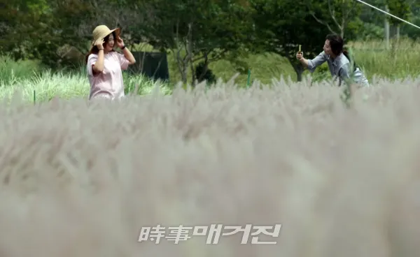 (사진_함평군청 제공)