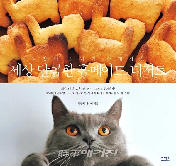 저자 히구치 마사키 | 출판사 베가북스