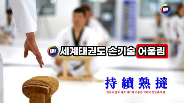 세계태권도 손기술 포스터(사진_태권도 손기술)