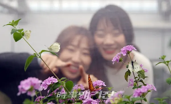 (사진_함평군청 제공)