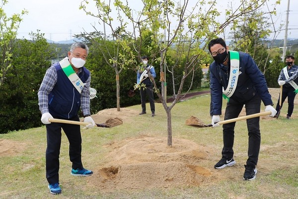 고리본부청렴다짐 나무심기 행사(사진-고리원자력본부)