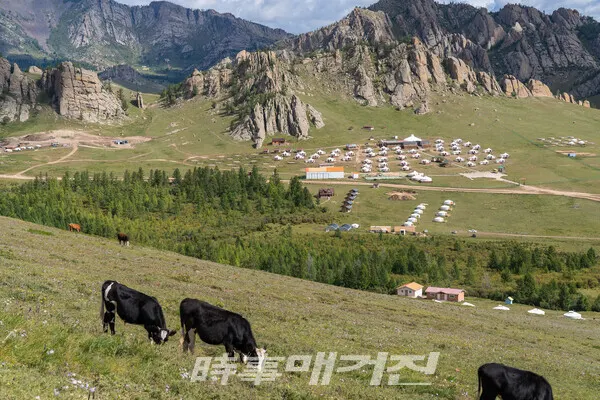 아름다운 바위산과 드넓은 초원 그리고 강과 조화를 이루는 자연경관이 아름다워 몽골의 대표적인 관광지로 자리 잡은 테렐지 국립공원(Terelji National Park).