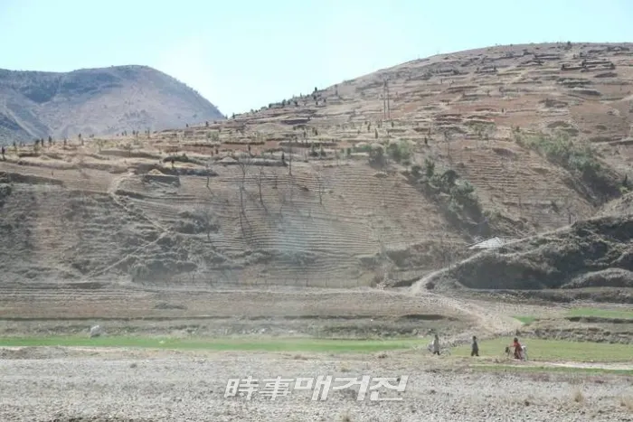 (사진_식량농업기구 홈페이지 캡처)