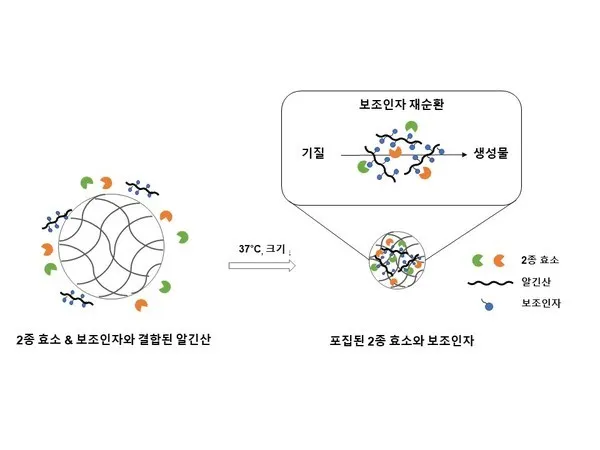 지스트,지속적으로 약물을 제조하는 올인원 친환경 나노반응기 개발(사진-지스트)