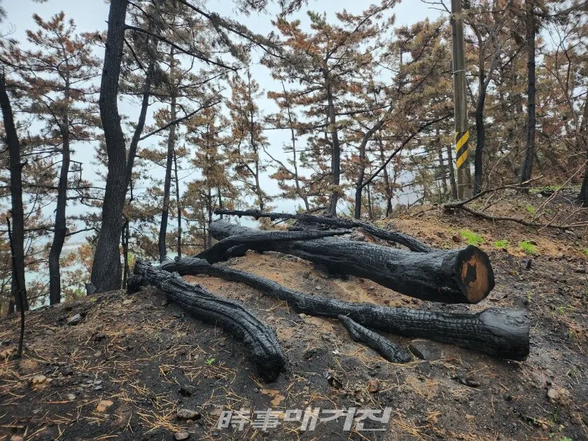 영남 산불의 화마로 잿더미가 된 영덕 해안절경길 블루 로드와 해안의 어촌 마을.(사진_조용우 칼럼니스트)