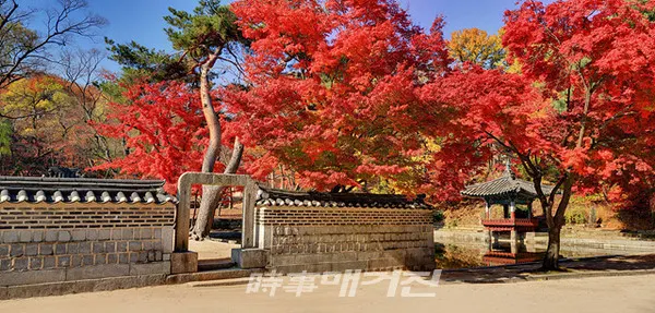 문화재청 궁능유적본부에서는 "국민이 가장 적절한 때에 가을단풍의 정수를 즐길 수 있도록 궁궐과 조선왕릉의 가을 단풍 시기와 최적의 장소를 예측한다"고 밝혔다.사진은 창덕궁 불로문 전경이다.(사진_문화재청)