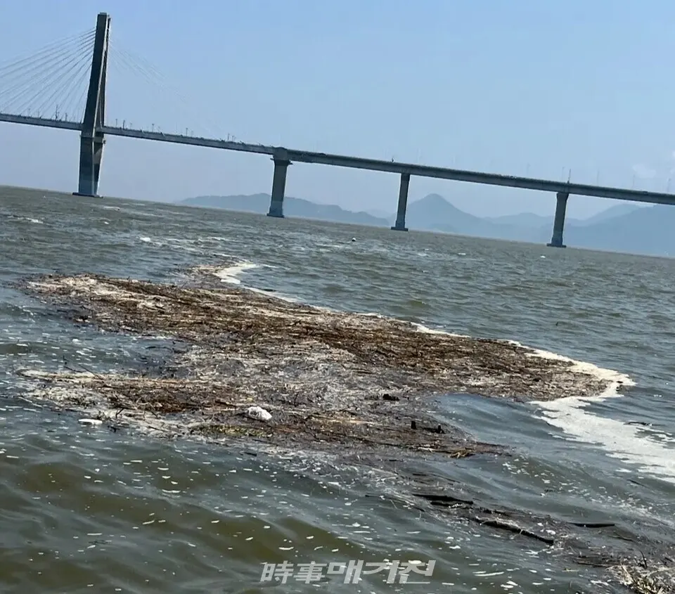 폭우와 강풍으로 인해 해상으로 밀려온 것으로 추정되는 초목류 쓰레기가 거가 대교 인근 해상을 뒤덮고 있다.(사진_거제시)