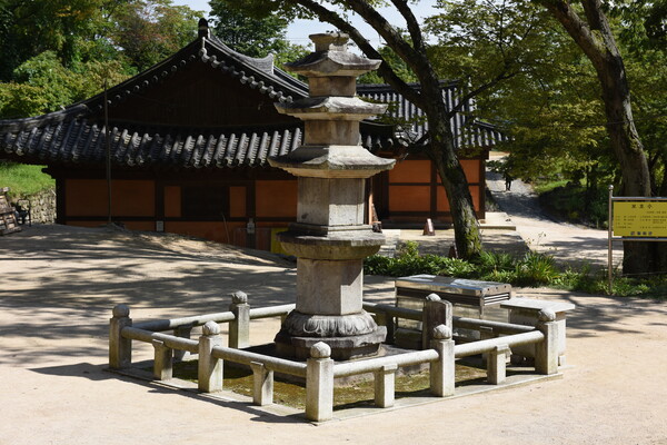 철원 도피안사 삼층석탑 (鐵原 到彼岸寺 三層石塔)