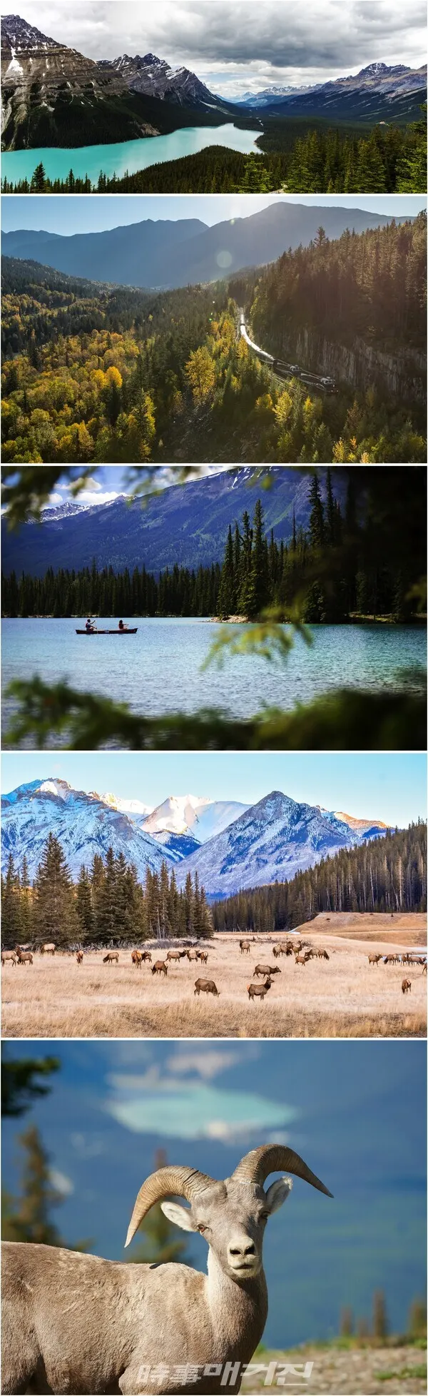 ‘밴프(Banff)’를 한마디로 설명하자면 ‘동화 속에 나오는 도시’로, 관광 명소인 ‘밴프 국립공원’은 캐나다 최초인 동시에 세계에서 세 번째로 조성된 국립공원으로, 계곡과 산, 빙하, 숲, 초원, 강이 6,641평방 킬로미터에 이르는 광대한 면적에 펼쳐져 있다.(제공_하나투어 제우스월드)