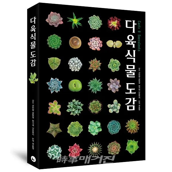 감수 선인장 상담실 하가네 나오유키 ｜ 출판사 도서출판 유나