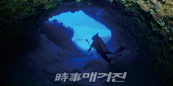 그루토 스노클링