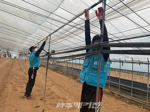 광주광역시 광산구는 “3~5일 제1전투비행단과 코로나19 장기화로 인력난을 겪고 있는 농촌 일손을 돕기 위해 동곡동 농가 비닐하우스 정비 등을 실시했다”고 밝혔다.(사진_광주광역시 광산구청)