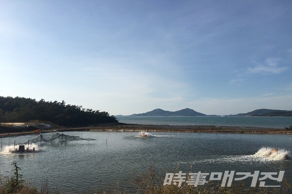새우양식장 전경 /사진=신안군청 제공