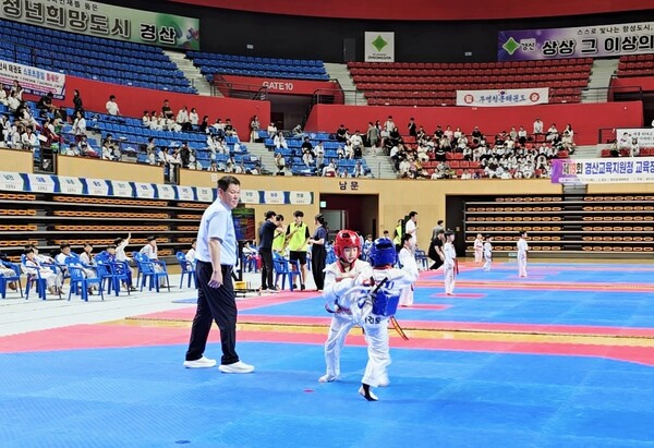 제19회 경산교육지원청 교육장배 태권도대회 겨루기 경기 모습.  (사진_경산시태권도협회)