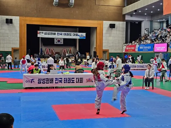 2일 차 겨루기 경기가 진행되고 있다.(사진_경산시태권도협회)