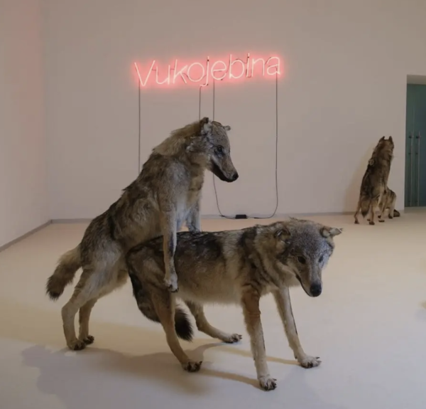 Vukojebina는 '정처없는(the middle of nowhere) 곳이라는 의미다. 직역하면 늑대가 사랑을 나누는 곳(a place where wolves go to make love)이라는 뜻도 있단다. (출처_크로아티아관광청/CNTB)