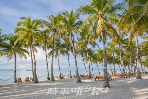 보홀