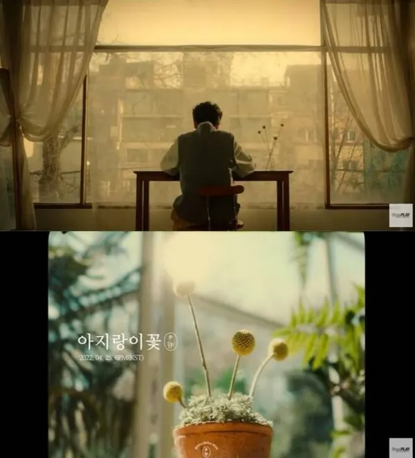 정동원 MV티저, 아지랑이꽃 배경 훈훈 비주얼 감탄(사진-유튜브 캡처)