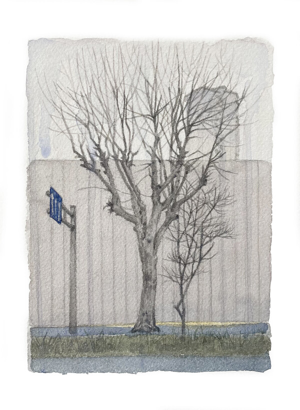 김민정 작가의 '경계에 선 풍경 Invisible Boundaries' 연작이 부산 재개발 현장의 담장과 나무, 사라지는 주거 공간의 흔적을 수채화로 담아내고 있다.(사진_김민정 화가)