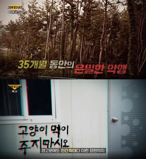 그것이 알고싶다 / 사진=SBS