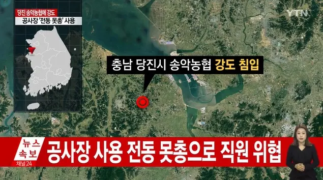사진=YTN 영상 캡처