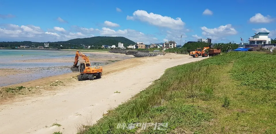 서귀포시 성산읍 신양 섭지코지 해변 해수욕장 파래 수거를 포크레인을 이용하여 구멍 갈파래를 치우고 있다(사진 고기봉 기자)